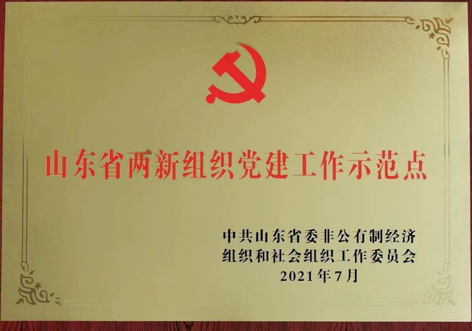 ld体育(中国)省高新组织党建工作示范点
